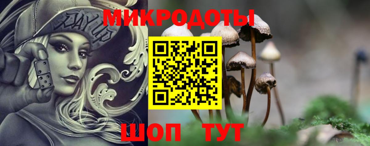 Псилоцибиновые грибы Psilocybe  Галлюциногенные грибы MAGIC MUSHROOMS  Вход с VPN  Красноуфимск 